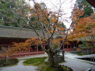 PICT_20141116_154036.jpg