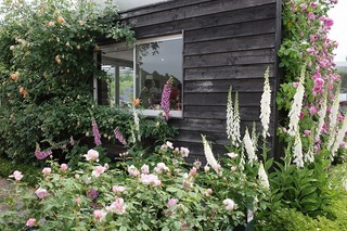 R0000445.jpg