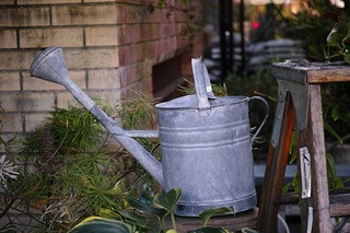 SDIM0599.jpg