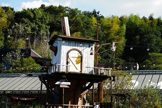 SDIM0604.jpg