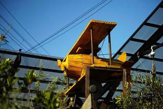 SDIM0605.jpg