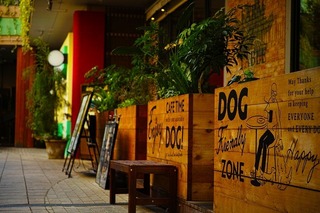 SDIM0618.jpg