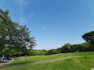 a0002.jpg