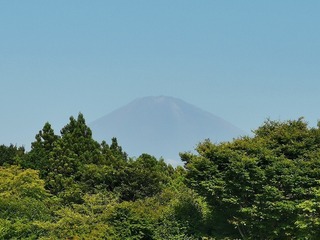 a0003.jpg