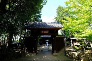 a0034.jpg