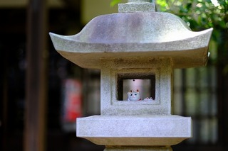 a0043.jpg