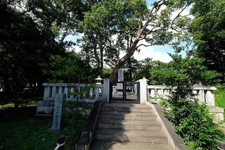 a0045.jpg