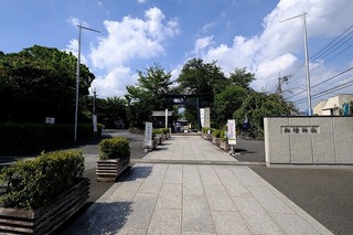 a0046.jpg