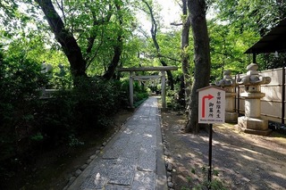 a0049.jpg