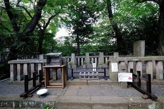 a0050.jpg