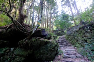 a10DSCF2234.jpg