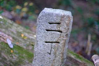 a12DSCF0874.jpg