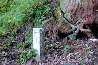 a14DSCF0878.jpg