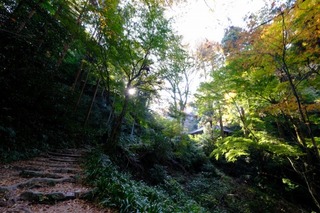 a15DSCF2240.jpg