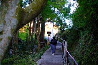 a16DSCF0880.jpg