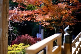 a23DSCF0889.jpg
