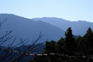 a27DSCF0895.jpg