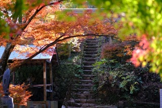 a30DSCF0910.jpg