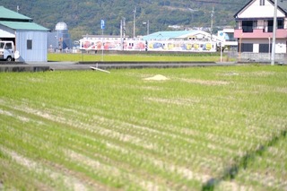 a42DSCF0930.jpg