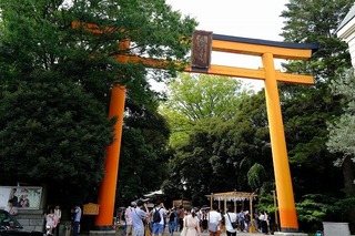 b0012.jpg