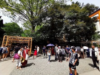 b0017.jpg