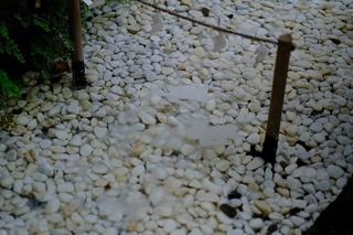 b0019.jpg