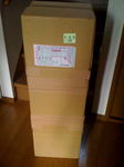 box01.jpg