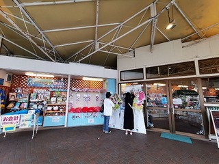 c0029.jpg
