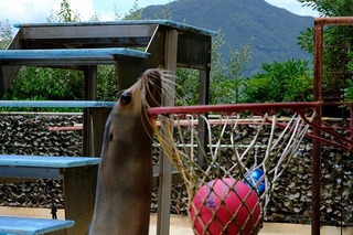 c0034.jpg