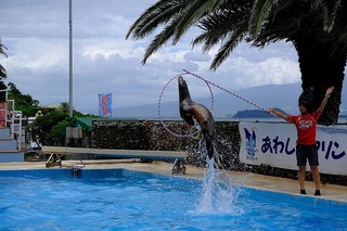 c0035.jpg