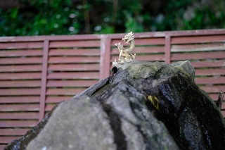c0037.jpg
