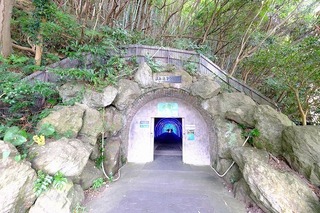c0039.jpg