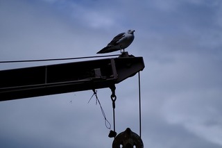 c0046.jpg