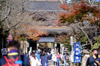c11 DSCF1087.jpg