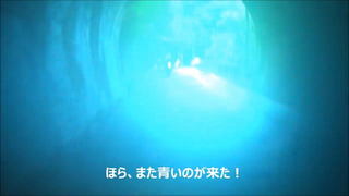 kujira05.jpg