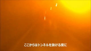 kujira06.jpg