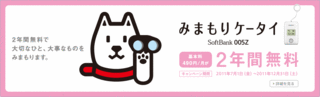 main-vi.gif