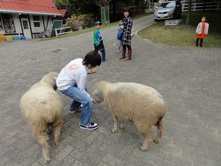 s-DSC03934.jpg