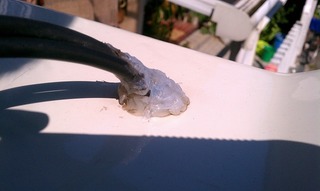 s-IMAG0290.jpg