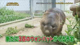 shimuradoubutsuen04.jpg