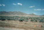 willowsprings01.jpg