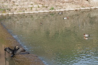 s-IMGP0100_2.jpg