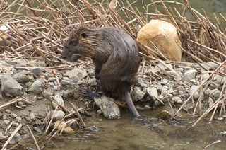 s-s_IMGP0180_2.jpg