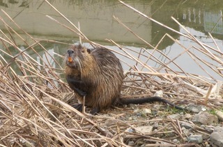 s-s_IMGP0191_2.jpg