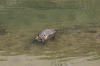 s-s_IMGP0193_2.jpg